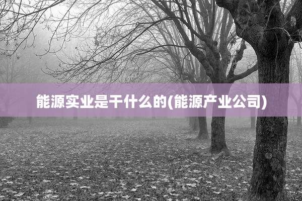 能源实业是干什么的(能源产业公司)