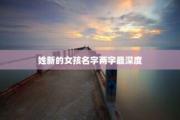 姓新的女孩名字两字最深度