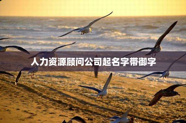 人力资源顾问公司起名字带御字
