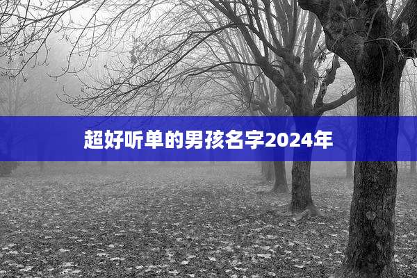 超好听单的男孩名字2024年