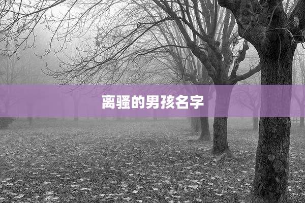 离骚的男孩名字