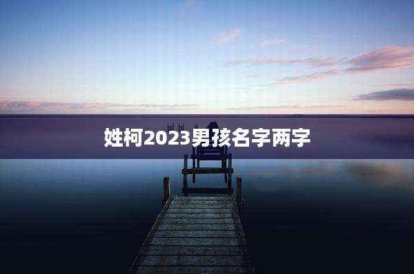 姓柯2023男孩名字两字