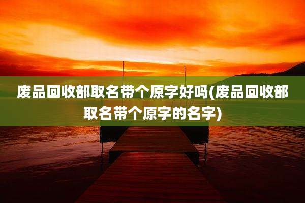 废品回收部取名带个原字好吗(废品回收部取名带个原字的名字)