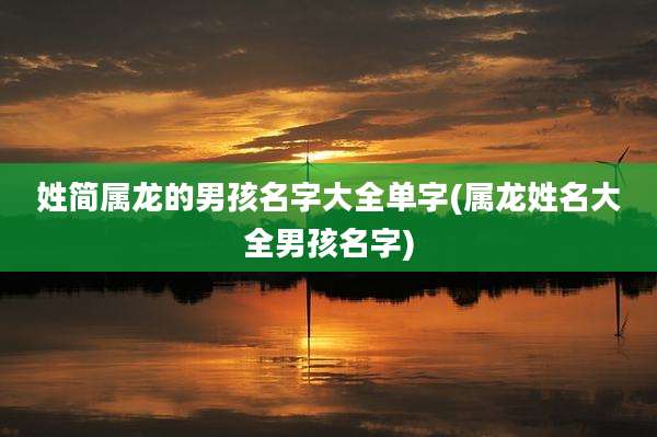 姓简属龙的男孩名字大全单字(属龙姓名大全男孩名字)