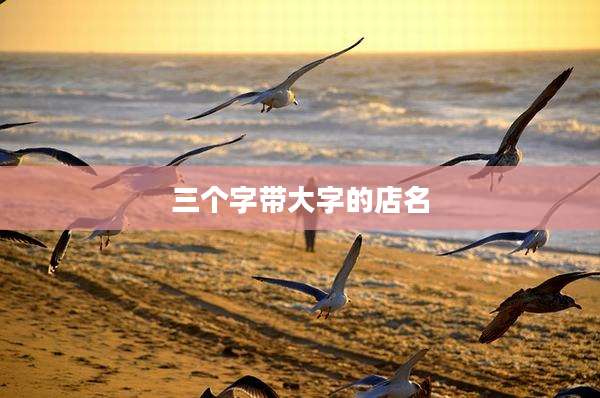 三个字带大字的店名