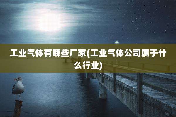 工业气体有哪些厂家(工业气体公司属于什么行业)