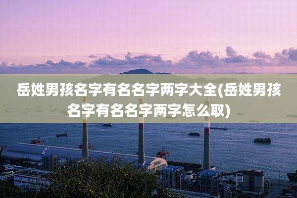 岳姓男孩名字有名名字两字大全(岳姓男孩名字有名名字两字怎么取)
