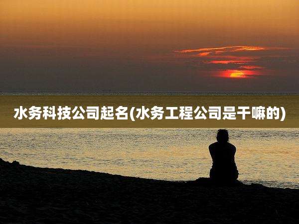 水务科技公司起名(水务工程公司是干嘛的)