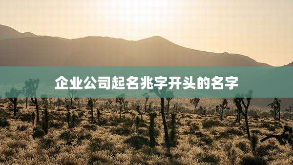 企业公司起名兆字开头的名字