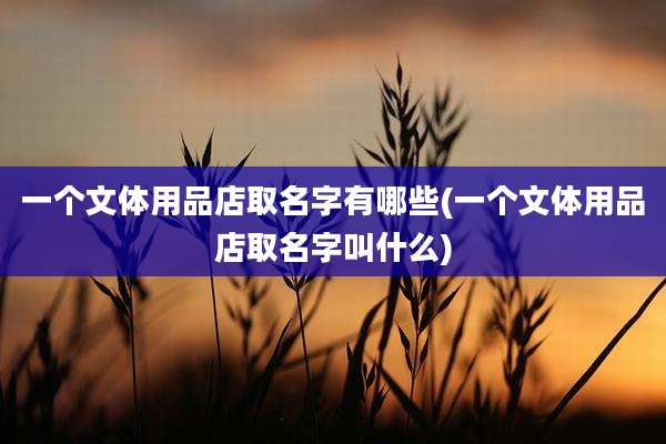 一个文体用品店取名字有哪些(一个文体用品店取名字叫什么)