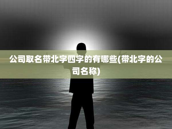 公司取名带北字四字的有哪些(带北字的公司名称)