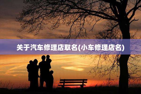 关于汽车修理店取名(小车修理店名)