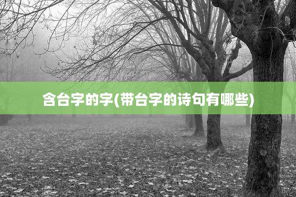 含台字的字(带台字的诗句有哪些)