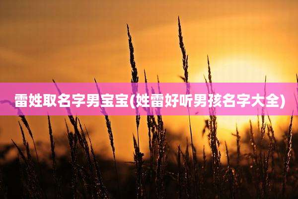 雷姓取名字男宝宝(姓雷好听男孩名字大全)