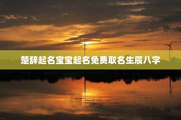 楚辞起名宝宝起名免费取名生辰八字