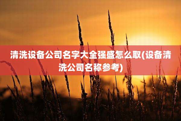 清洗设备公司名字大全强盛怎么取(设备清洗公司名称参考)