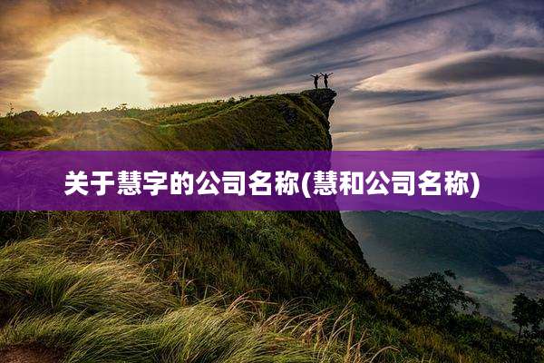 关于慧字的公司名称(慧和公司名称)