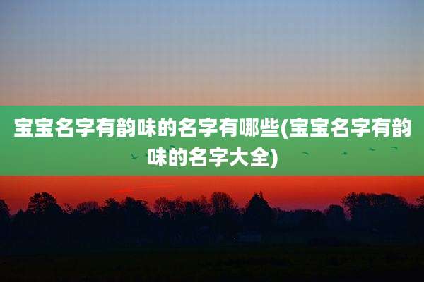 宝宝名字有韵味的名字有哪些(宝宝名字有韵味的名字大全)