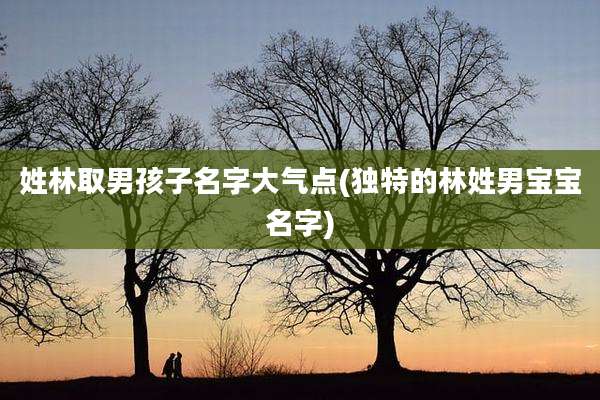 姓林取男孩子名字大气点(独特的林姓男宝宝名字)