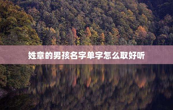 姓章的男孩名字单字怎么取好听