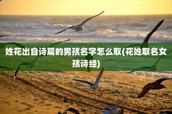 姓花出自诗篇的男孩名字怎么取(花姓取名女孩诗经)
