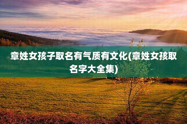 章姓女孩子取名有气质有文化(章姓女孩取名字大全集)