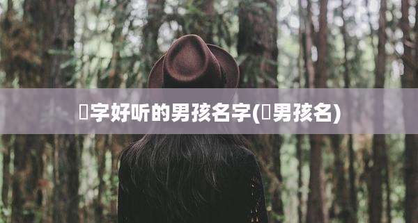 瑨字好听的男孩名字(莀男孩名)