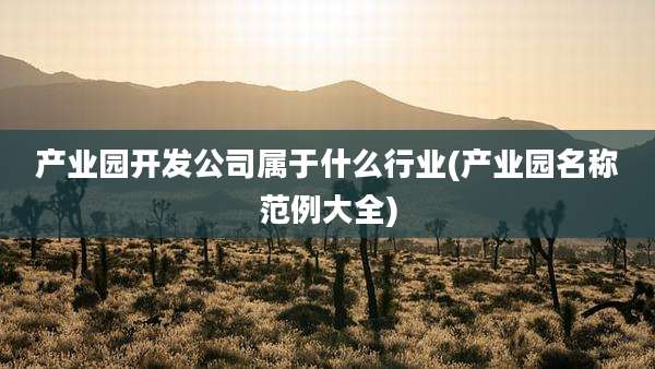 产业园开发公司属于什么行业(产业园名称范例大全)
