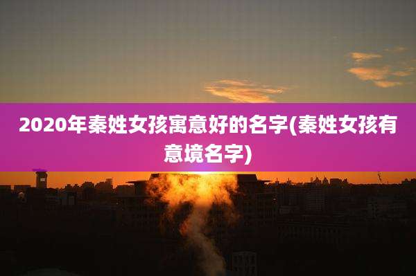 2020年秦姓女孩寓意好的名字(秦姓女孩有意境名字)