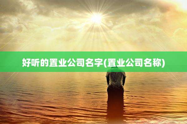 好听的置业公司名字(置业公司名称)