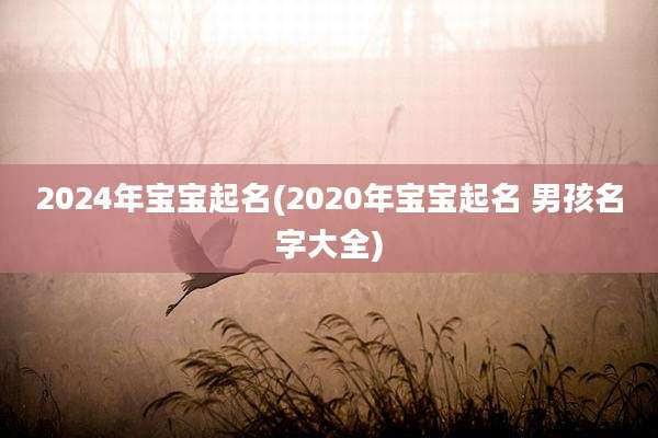 2024年宝宝起名(2020年宝宝起名 男孩名字大全)