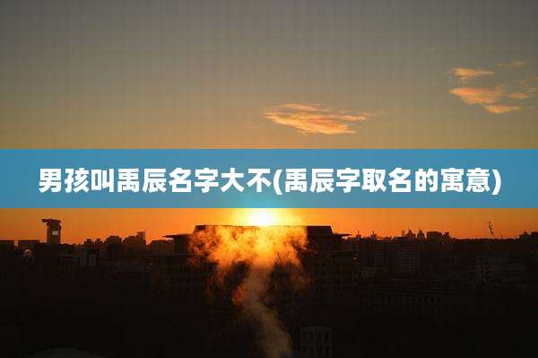 男孩叫禹辰名字大不(禹辰字取名的寓意)