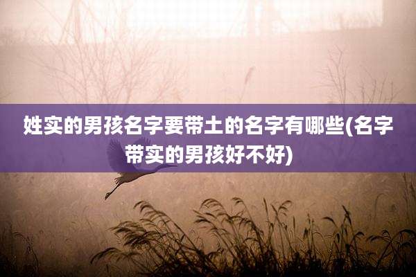 姓实的男孩名字要带土的名字有哪些(名字带实的男孩好不好)