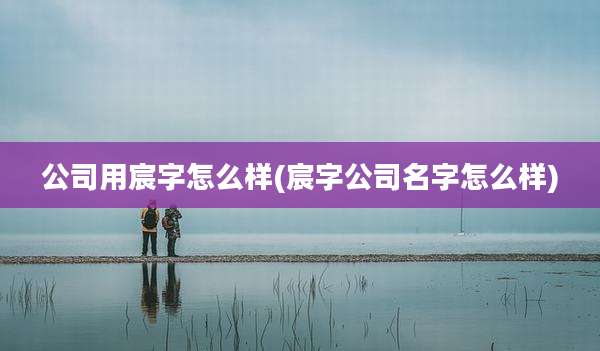 公司用宸字怎么样(宸字公司名字怎么样)
