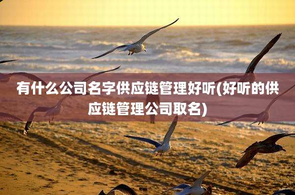 有什么公司名字供应链管理好听(好听的供应链管理公司取名)