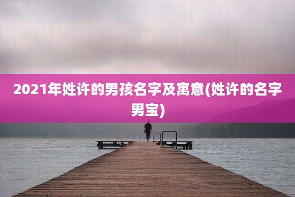 2021年姓许的男孩名字及寓意(姓许的名字男宝)