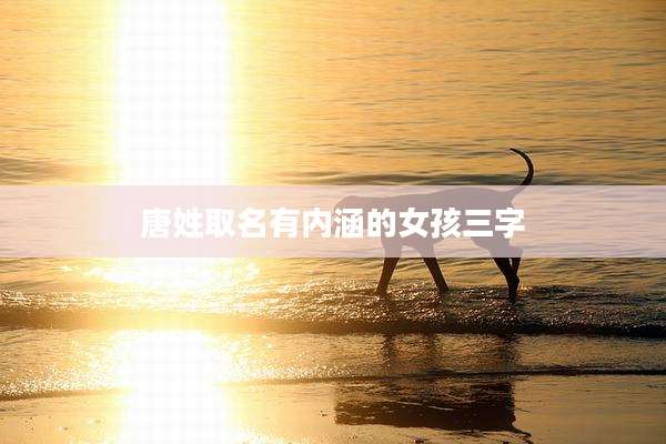 唐姓取名有内涵的女孩三字