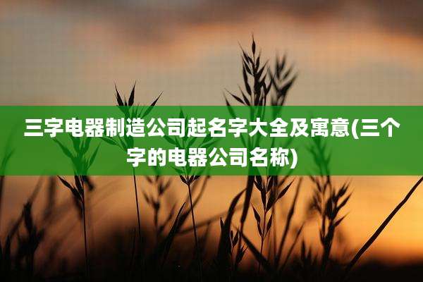 三字电器制造公司起名字大全及寓意(三个字的电器公司名称)