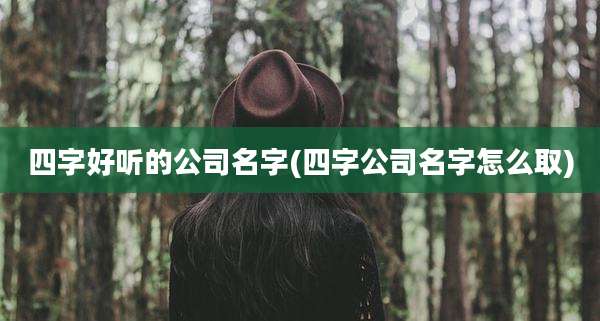 四字好听的公司名字(四字公司名字怎么取)