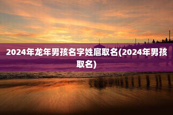 2024年龙年男孩名字姓扈取名(2024年男孩取名)