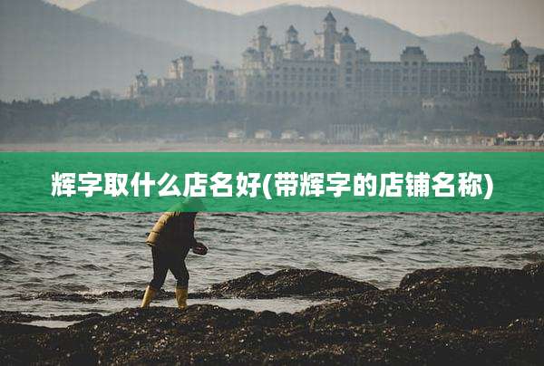 辉字取什么店名好(带辉字的店铺名称)