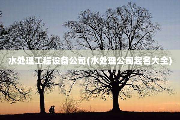 水处理工程设备公司(水处理公司起名大全)