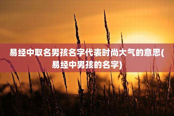 易经中取名男孩名字代表时尚大气的意思(易经中男孩的名字)