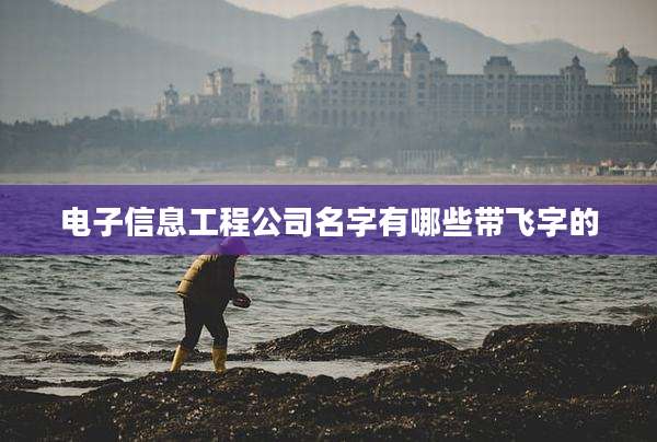 电子信息工程公司名字有哪些带飞字的