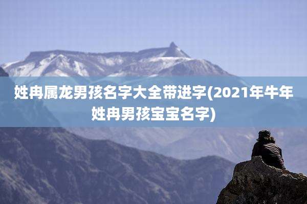 姓冉属龙男孩名字大全带进字(2021年牛年姓冉男孩宝宝名字)