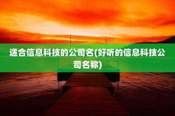 适合信息科技的公司名(好听的信息科技公司名称)