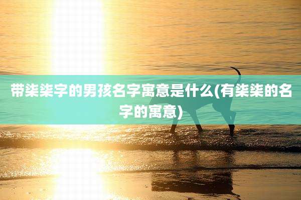 带柒柒字的男孩名字寓意是什么(有柒柒的名字的寓意)