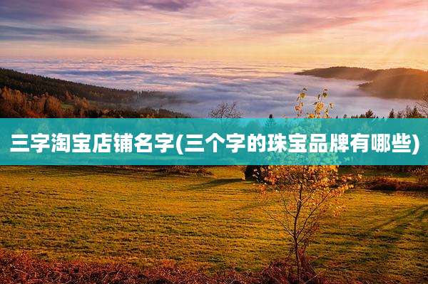三字淘宝店铺名字(三个字的珠宝品牌有哪些)