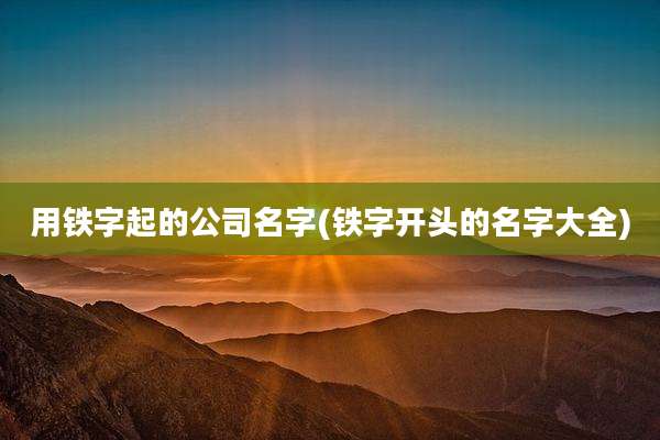 用铁字起的公司名字(铁字开头的名字大全)