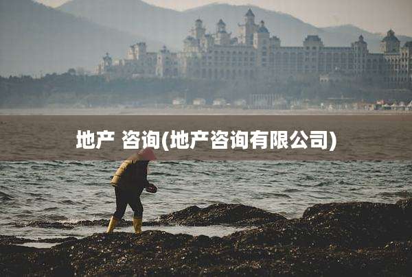 地产 咨询(地产咨询有限公司)